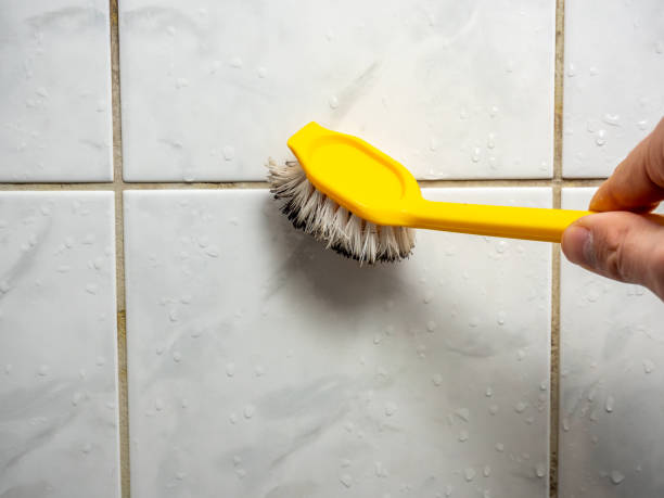 Best Attic Mold Removal  in Monteagle, TN