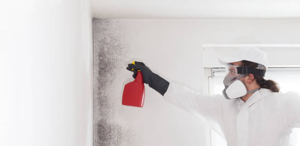 Best Mold Testing  in Monteagle, TN